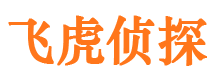 延平市婚姻出轨调查